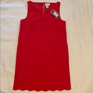 NWT Heyton Scalloped shift dress sz 8